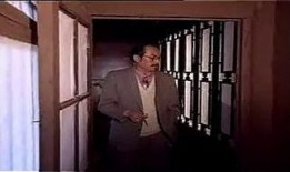 天桥梦在线观看,在线重温时尚界的璀璨传奇