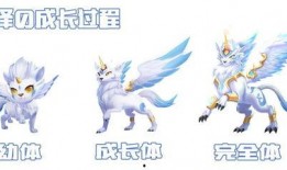 白泽最新爆料新闻,揭秘娱乐圈最新热点事件内幕