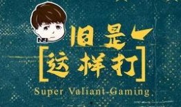 胖哥爆料官方网站视频,揭秘官方网站视频背后的精彩瞬间